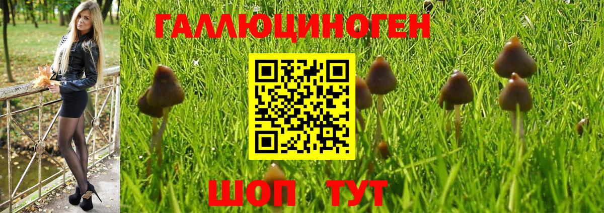 где купить наркоту  Псилоцибиновые грибы Psilocybe  Галлюциногенные грибы ЛСД  Вход с VPN  Кашира 