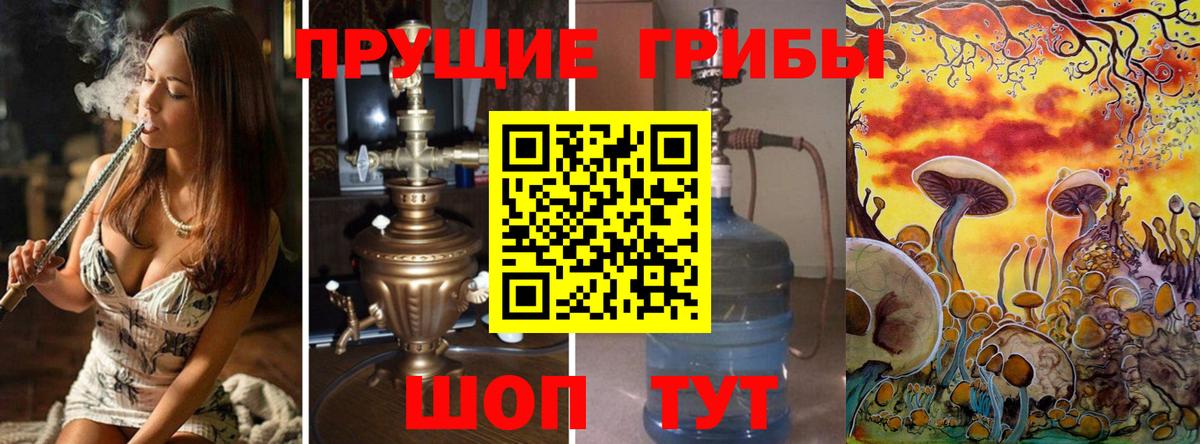 Галлюциногенные грибы Cubensis Кашира